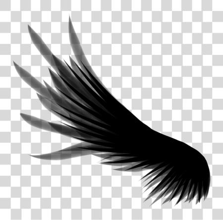 Download Angel Wings Wings PNG file