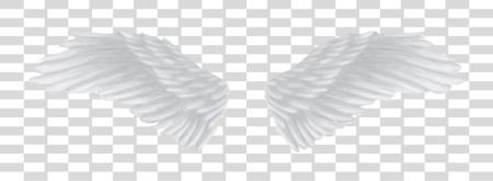 Download Background ángel Wing PNG file