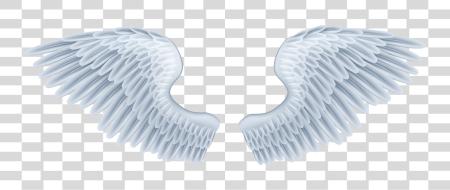 Download Angel Wings PNG file