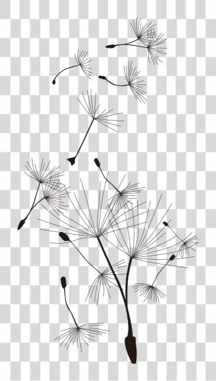 下载 常見的 Dandelion T Shirt 卡通 Diente De Leon Dibujo PNG file