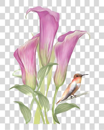 Download This Graphics Is Hand Drawn Flowers And Birds Pattern Watercolor Painting PNG file