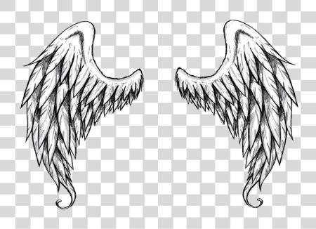 Download Sayap Keren Angel Wing Drawing PNG file