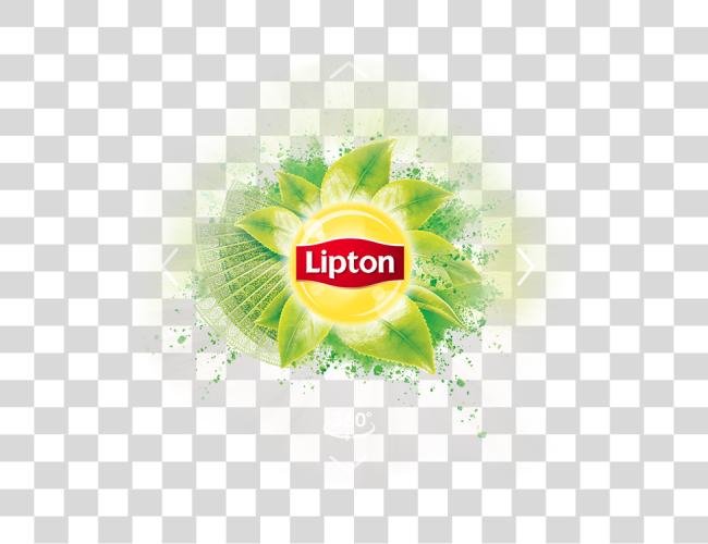 Download Lipton funda Study logotipo Lipton Matcha té Clip arte