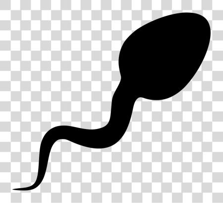 Download File Sperm PNG file