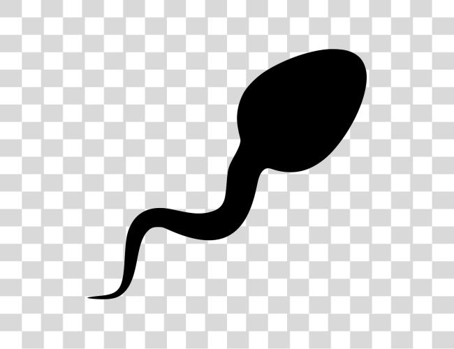 Download File Sperm Clip Art