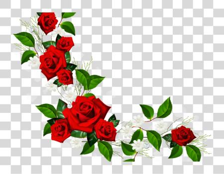 Download Rose Border Flower PNG file