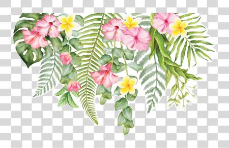 Download Tropical Tropical Flower Tropical PNG file