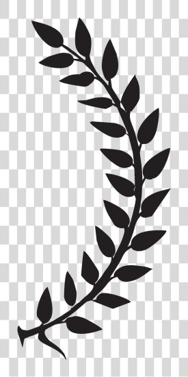 Download Laurel Leaves Right01 Crown Of Leaves PNG file