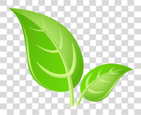 Download Green Leaves Leaf Image PNG file