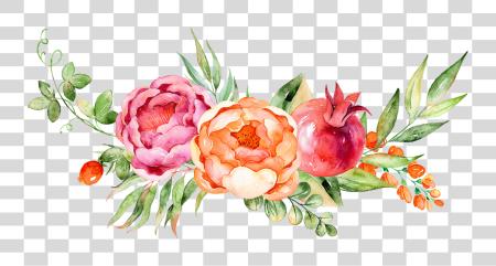 下载 水彩 Peonies 水彩 花 PNG file