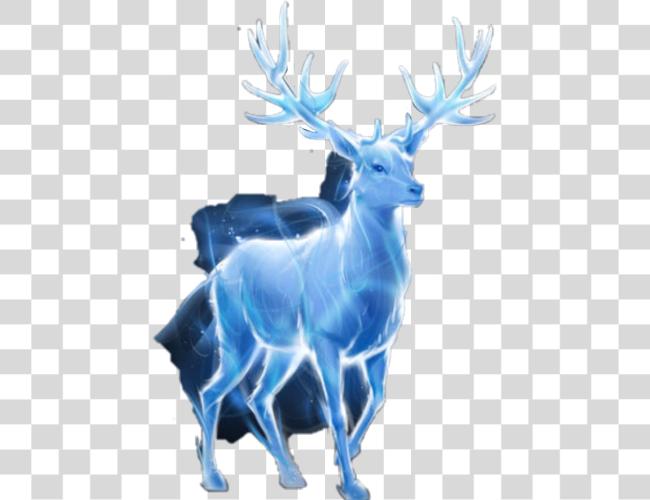 تحميل هاري بوتر Patronus هاري بوتر Patronus مقطوعة فن