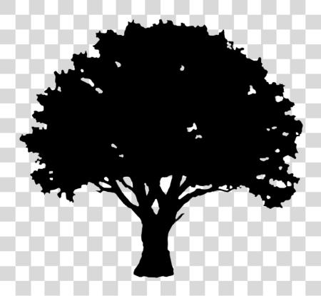 Download Silhouette Graphics Library Stock Tree Silhouette PNG file