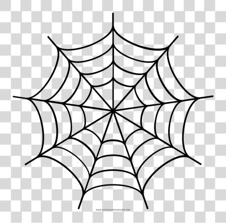 Download Attic Cobwebs For On Spider Web PNG file