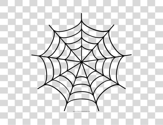 تحميل Attic Cobwebs الى على عنكبوت Web مقطوعة فن