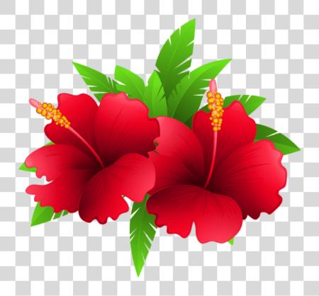 Download Exotic Flowers And Plant Image Gallery Flowering Plants PNG file