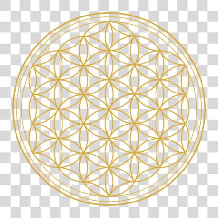 Download El Simbolo De La Flor De La Vida Yellow Flower Of Life PNG file