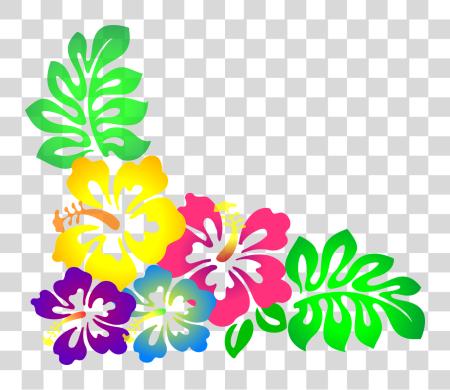 Download Flower Hawaii Hibiscus Luau Colorful Hawaiian Flowers PNG file