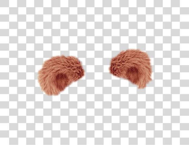 Download bren ohren bear ears bearears brown sticker Domesticated Hedgehog Clip Art