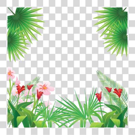 Download Tropical Leaves Flowers Frame Tropical Flowers Tropical Frame PNG file