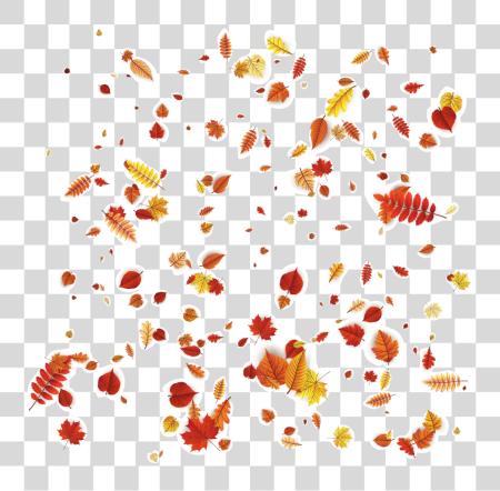 Download Petal hojas Autumn naranja diseño patrón Falling Autumn hojas PNG file