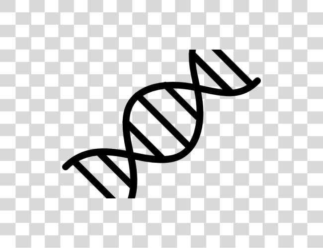 Download Dna Structure White Dna Clip Art