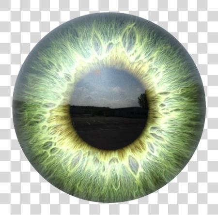 Download ojos eyeart eye stickers realeyes realeye pupil Picsart ojos PNG file