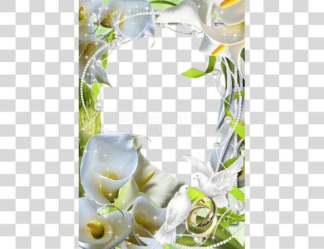 Download Beautiful Flowers Wedding Frame Wedding Flower Frame Clip Art