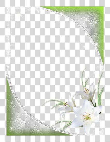 Download Green Flower Border Flower White Frame PNG file