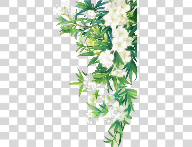 Download White Flower Nature Border Leaves Landscape Green Watercolor Flower Clip Art