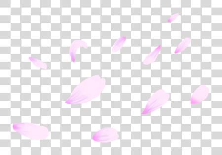 Download Cherry Blossom Leaf PNG file