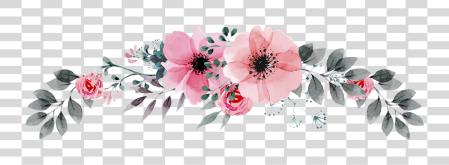 下载 Flores Para Topo De Bolo Anemone Paint PNG file