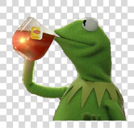 Download Kermit Sipping té Sticker Kermit Meme PNG file