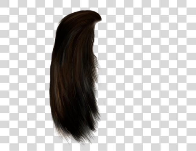 Download Beautiful Brown Darkbrown Red Wig Hair Longhair Long Hair Male Clip Art