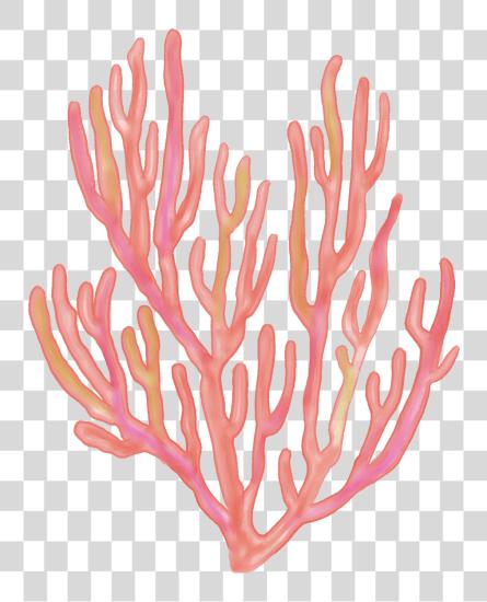 Download seaweed coral coralreefs coralreef mar océano caricatura Coral Reef PNG file