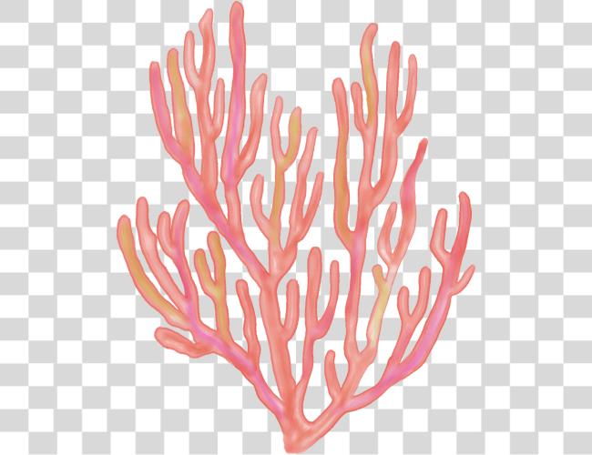 تحميل seaweed coral coralreefs coralreef بحر محيط كارتون Coral Reef مقطوعة فن