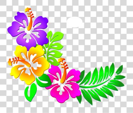 下载 Hawaiian Flowers 蝴蝶 Corner Border 設計 PNG file