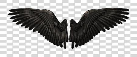 Download Raven Wings Raven Bird Wings Icarus Game Realistic Demon Wings PNG file