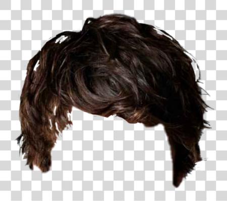 Download Hair Sticker Picsart Hair Style PNG file