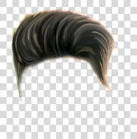 下载 头发 Hairstyles 发型 风格 Freetoedit 新 All 头发 PNG file