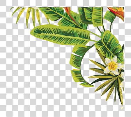 Download Go To Image Tropical Palm Leaves PNG file