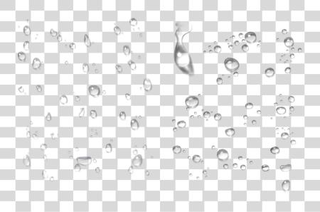 下载 Drops Peoplepng Com 水 Droplets Glass PNG file