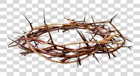 Download Crown Of Thorns PNG file