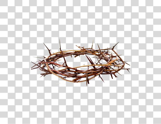 Download Crown Of Thorns Clip Art