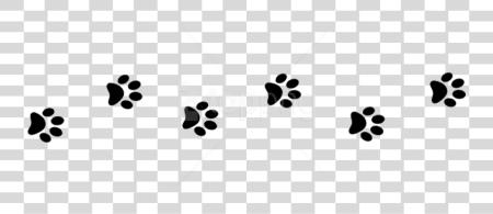 下载 線 Of Paw Prints Paw Print Trail PNG file