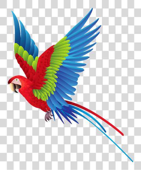 Download Colourful loro Clipart colorido Fly pájaro PNG file