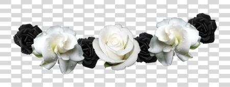 Download flor corona Jadziadaxofficial Mpvbrrcwcrcfbng negro y blanco flor corona PNG file