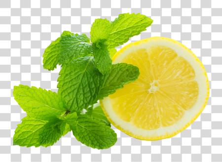 Download limón Mint PNG file