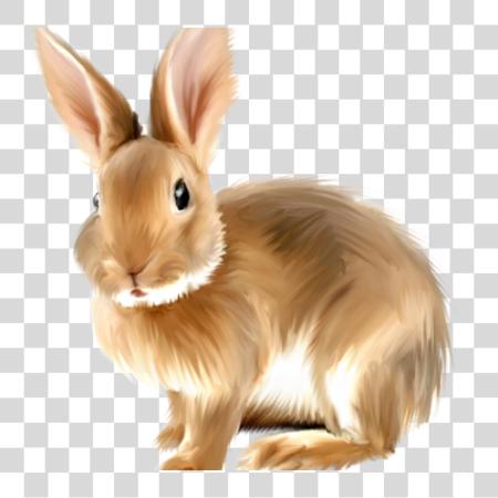 下载 兔子 Rabbits Bunnies 兔子 PNG file