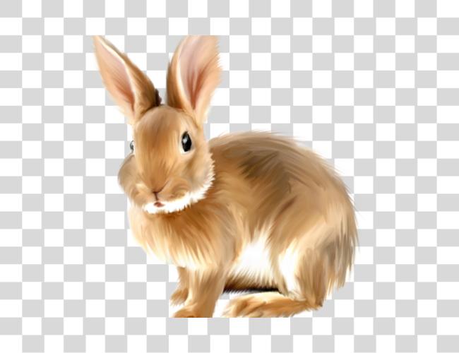 تحميل أرنب Rabbits Bunnies أرنب مقطوعة فن