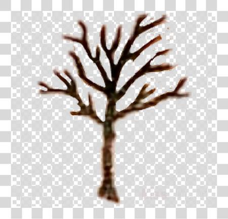 下载 Leafless Tree Tattoo Xxxtentacion Tattoo 视频 Arbol Xxxtentacion PNG file